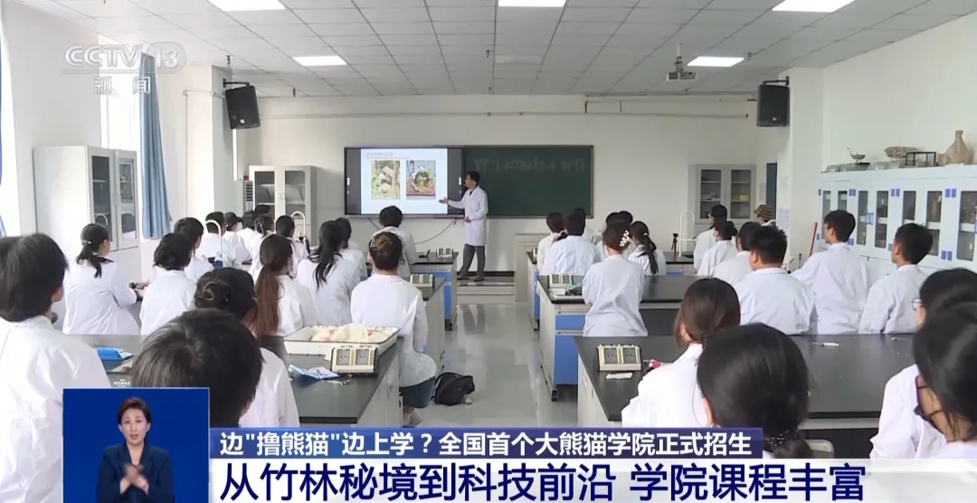 边“撸熊猫”边上学？全国首个大熊猫学院招生啦！