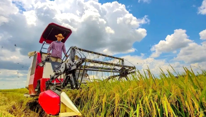 我才不要学赤脚种田的农学！