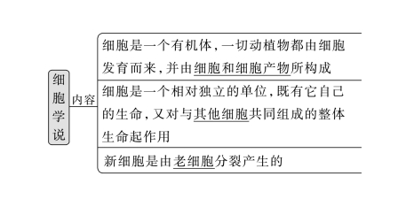 【复习资料】2024年高考生物一轮复习（新人教版）知识点讲解！