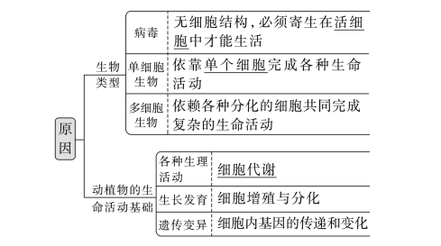 【复习资料】2024年高考生物一轮复习（新人教版）知识点讲解！