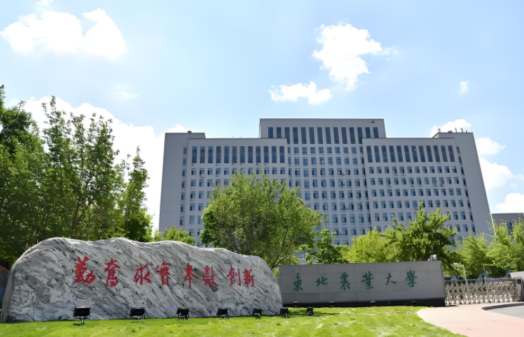 录取分数低于550的211，适合捡漏！