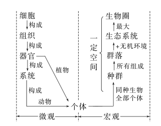 【复习资料】2024年高考生物一轮复习（新人教版）知识点讲解！
