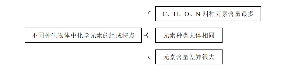 高三第二轮复习生物知识结构