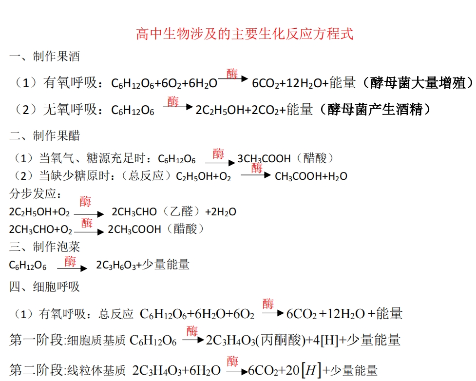 高中生物涉及的主要生化反应方程式