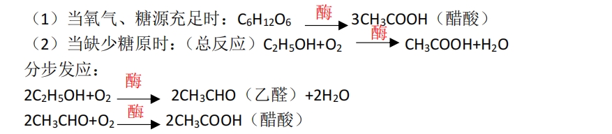 高中生物涉及的主要生化反应方程式