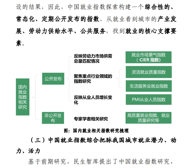 2024中国就业指数观察报告PDF下载