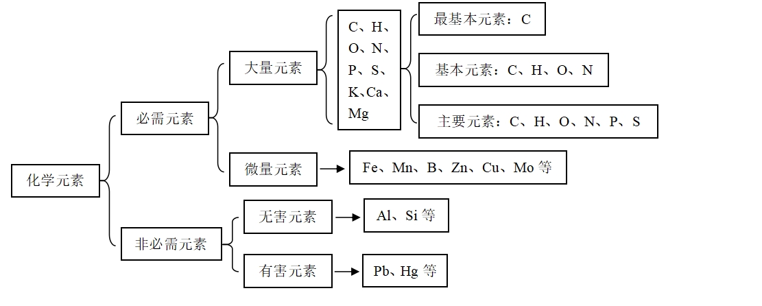 高三第二轮复习生物知识结构