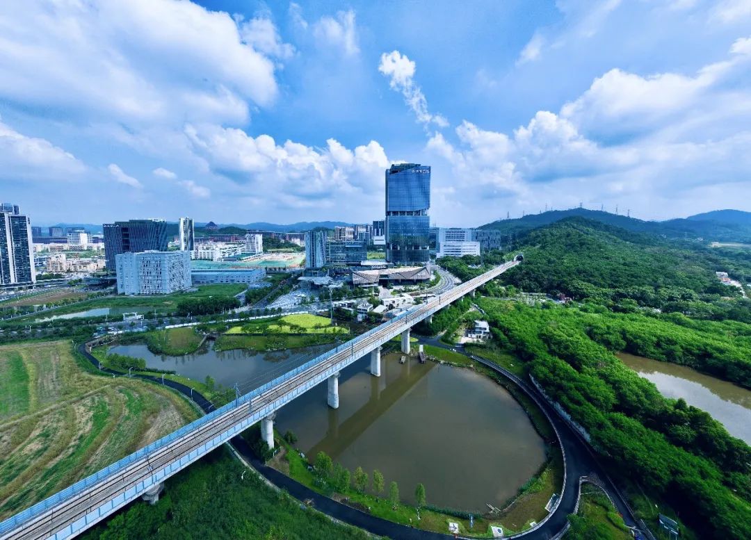 又一所985落户深圳！目前已有近30所985高校布局深圳，太厉害了！