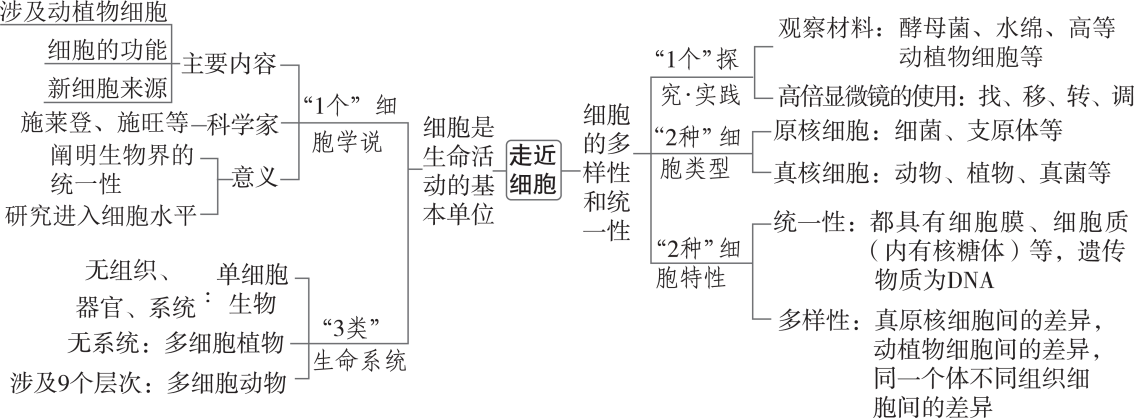 2025备考教案生物word版下载