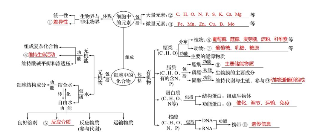 高中生物知识点概念图