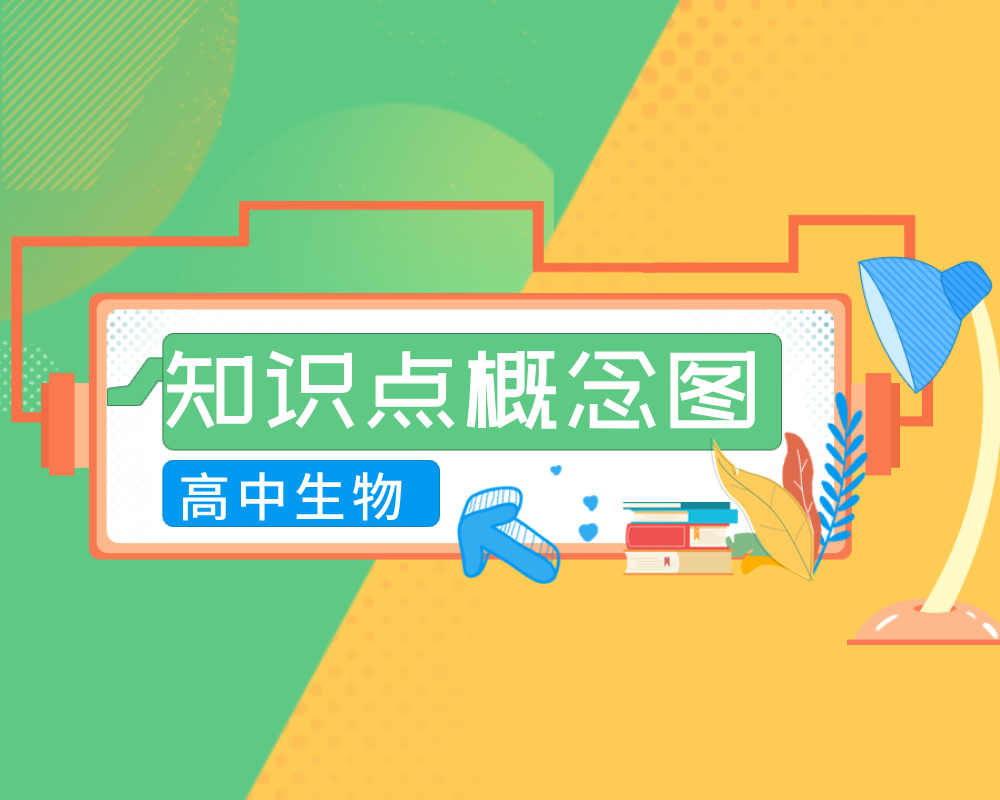 高中生物知识点概念图