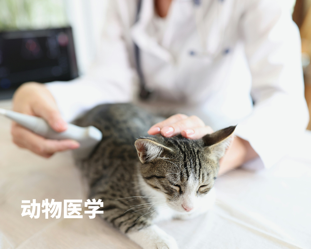 高考志愿这些专业，当初看不上，现在高攀不起！