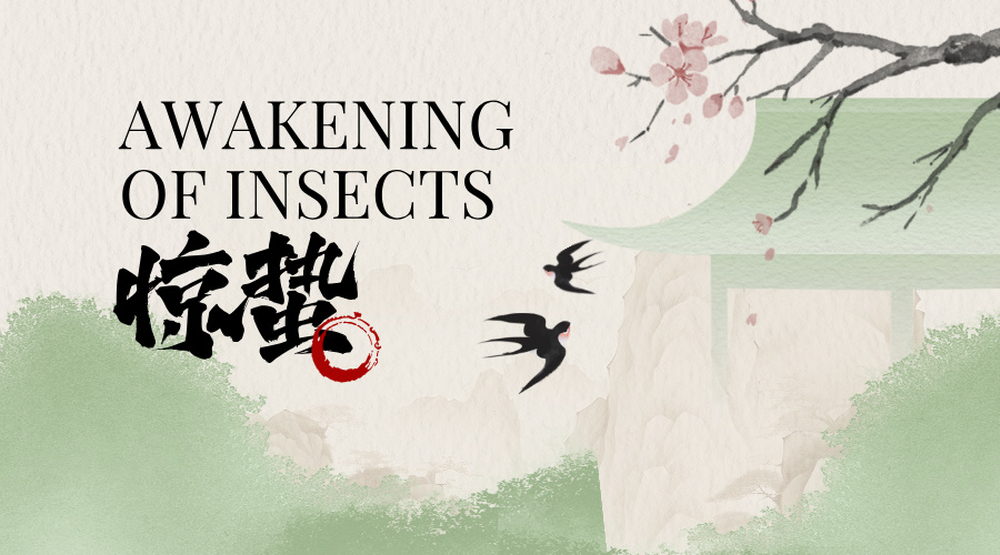 2025高考志愿填报怎么规划？|惊蛰特辑