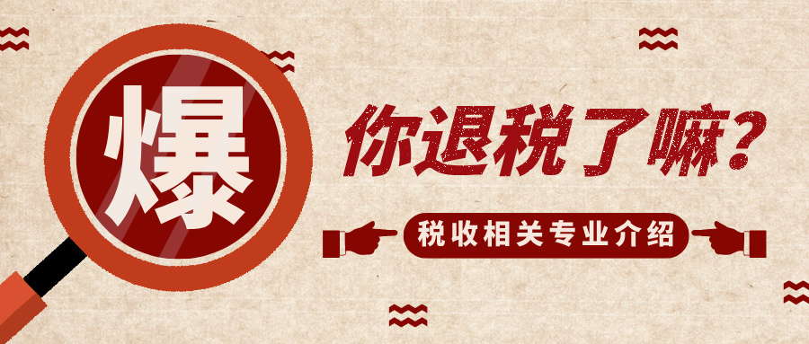 3月你退税了嘛？退税背后又涉及到哪些大学专业呢？