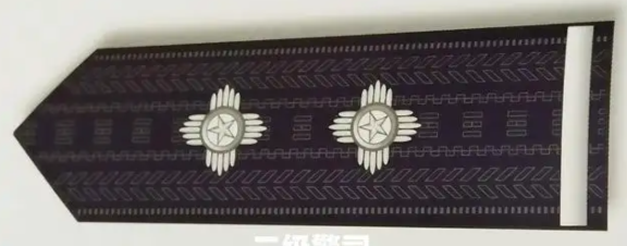 在校期的警衔晋升问题大公开！