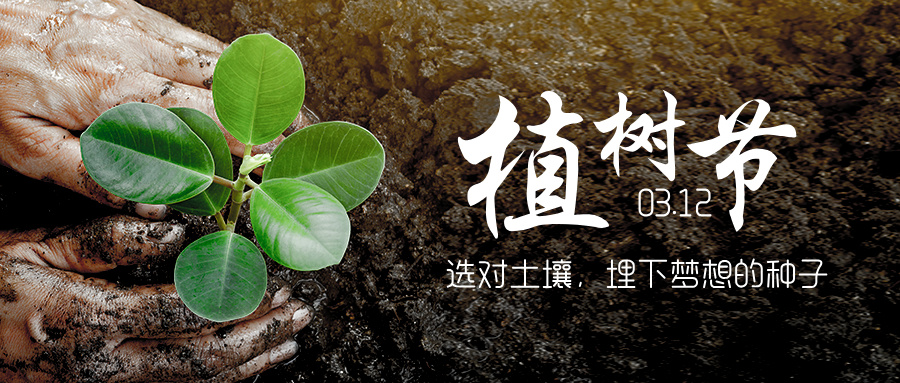 植树节与高考志愿填报：播种希望，收获未来