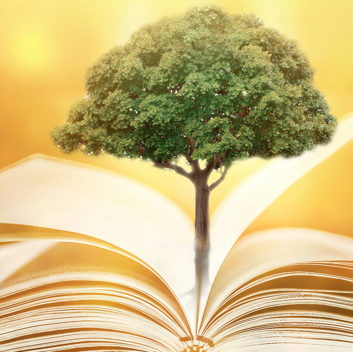 教书育人十年恩