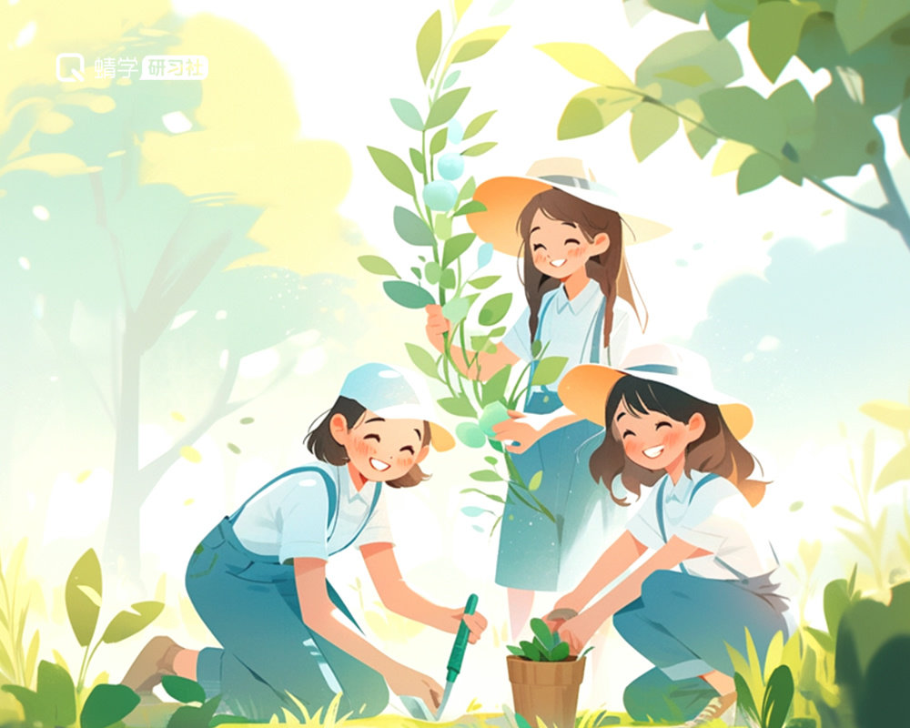 高考志愿填报：种下梦想，静待花开