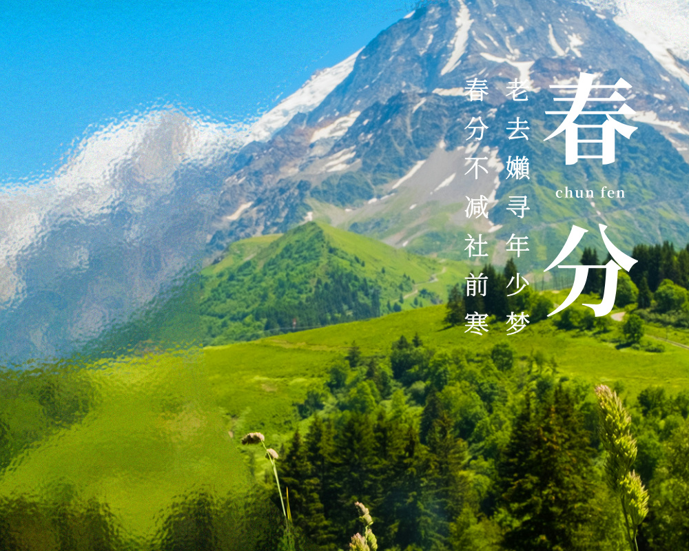 春分与高考志愿填报:平衡与选择的艺术