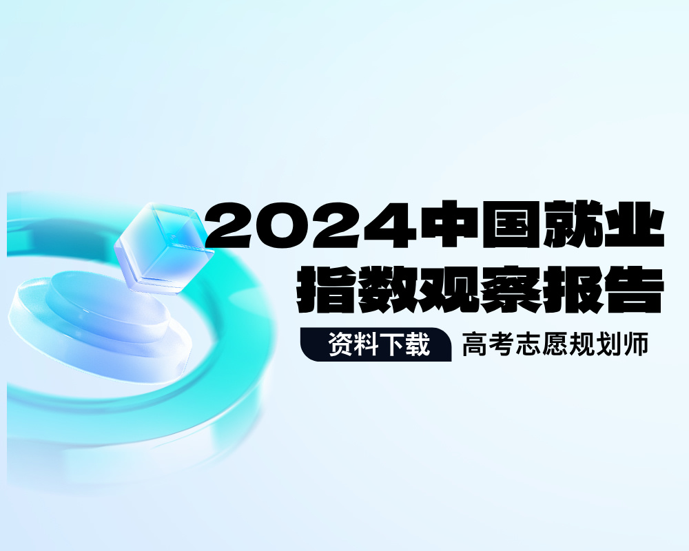 2024中国就业指数观察报告