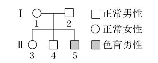高考生物：遗传系谱图的判断与基因定位的实验设计
