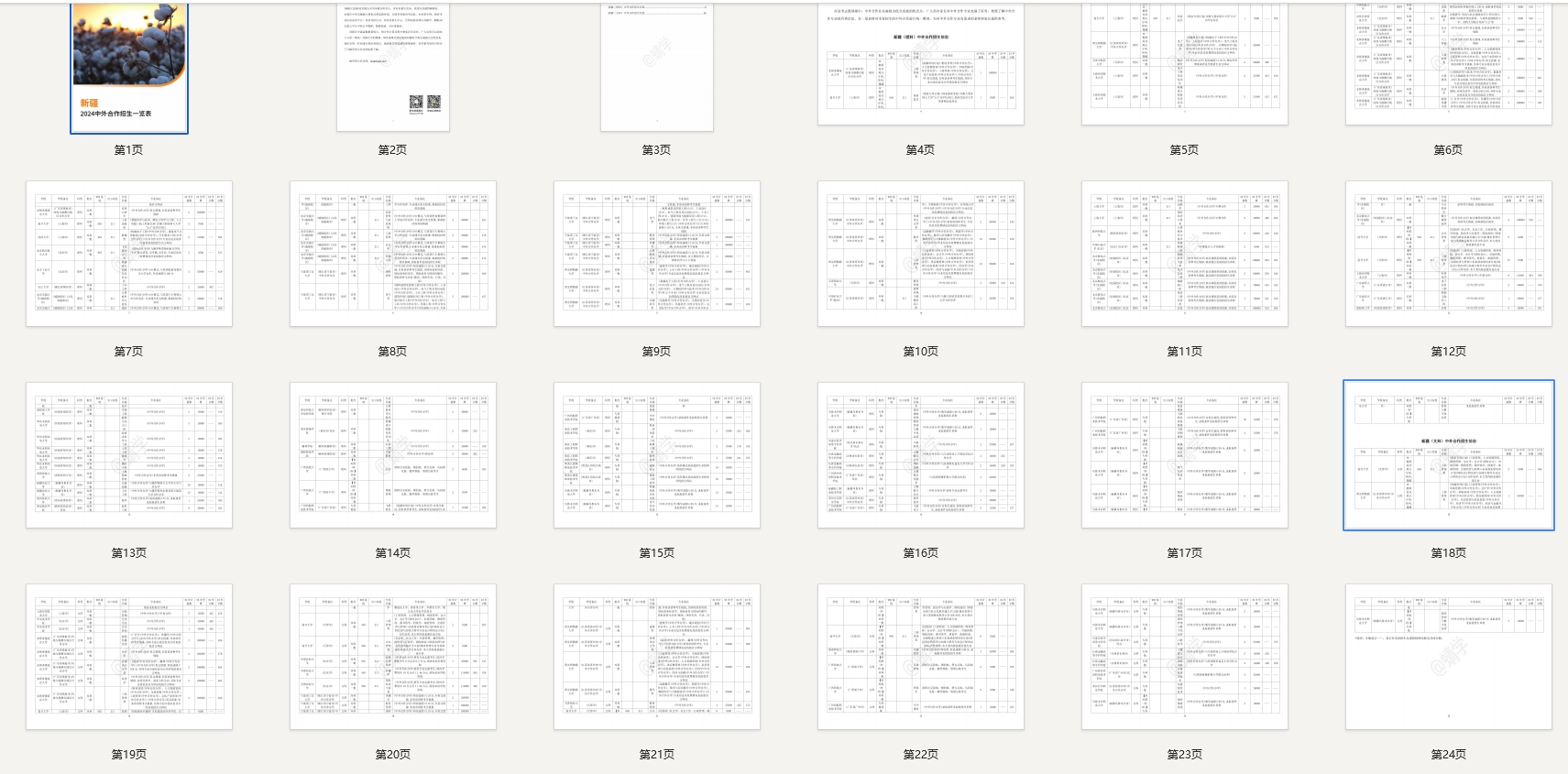 【报告下载】新疆2024年中外合作招生一览表