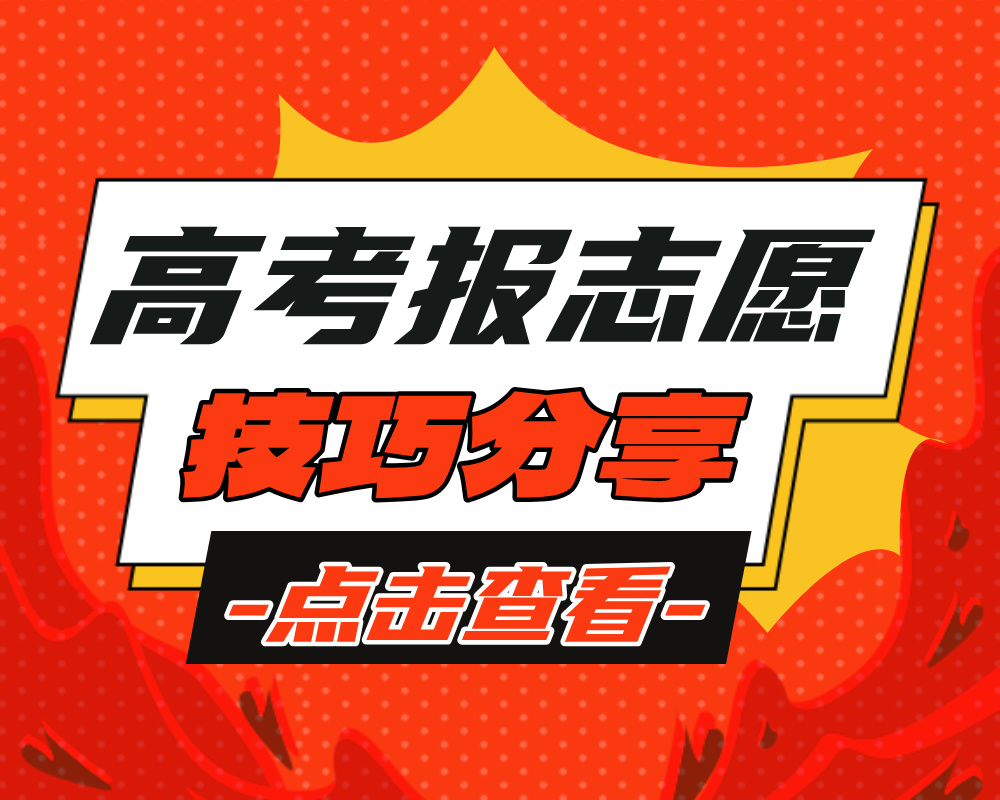 专业组内专业排序：从数据洞察到策略优化