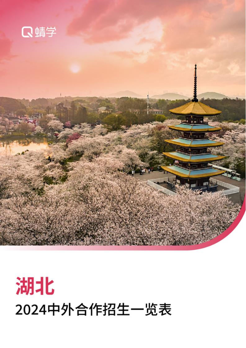 【报告下载】湖北2024年中外合作招生一览表