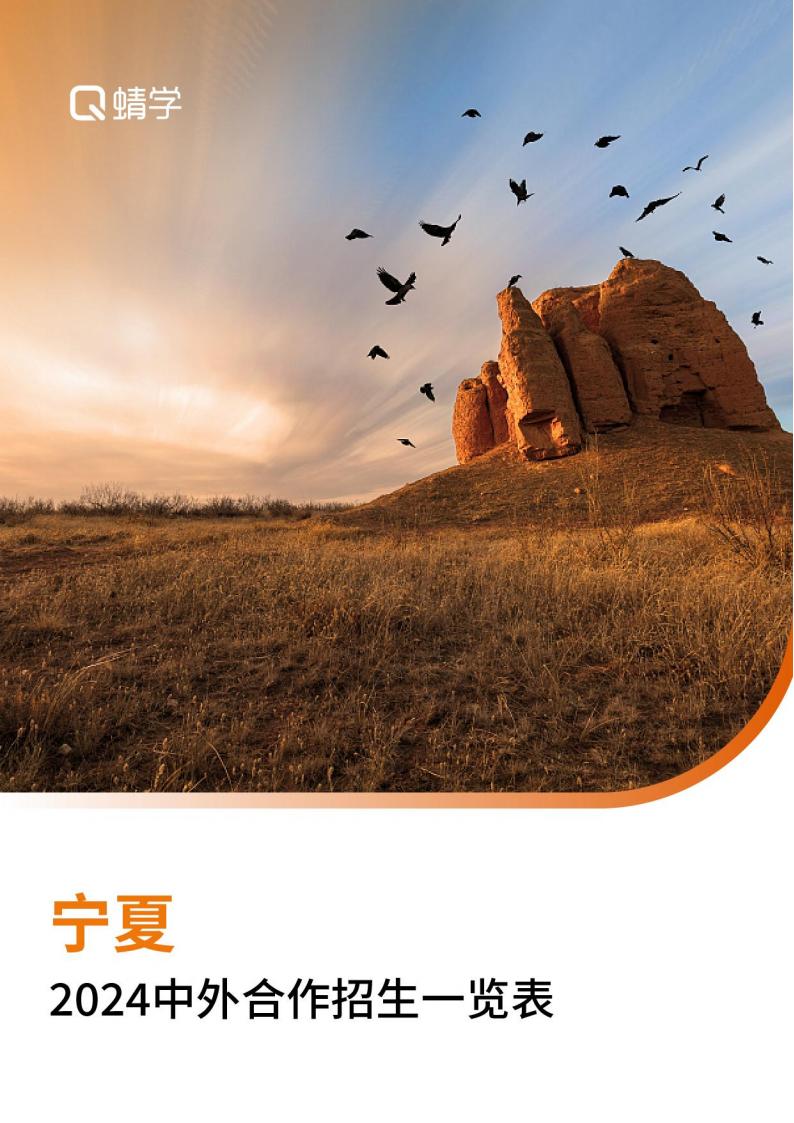 【报告下载】宁夏2024年中外合作招生一览表