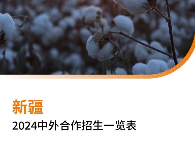 【报告下载】新疆2024年中外合作招生一览表