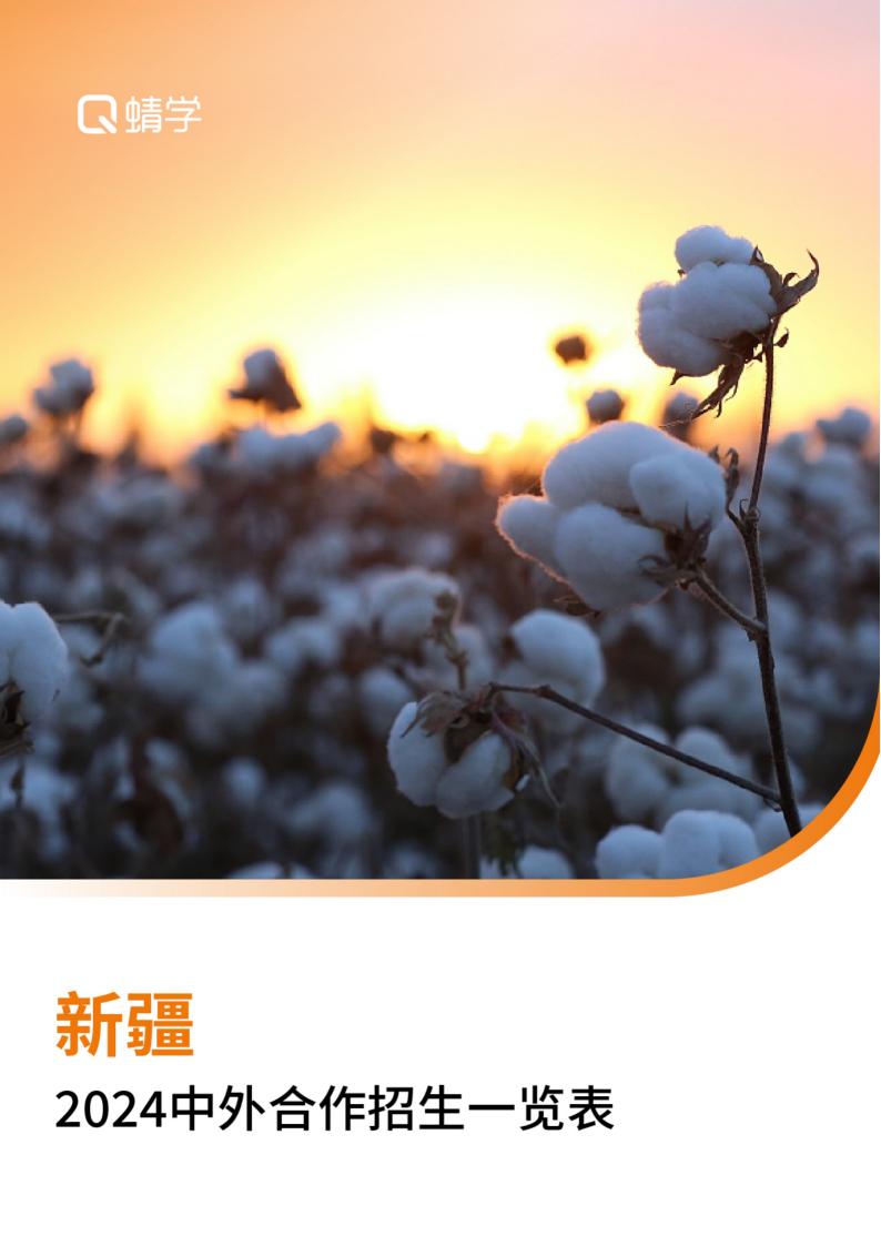 【报告下载】新疆2024年中外合作招生一览表