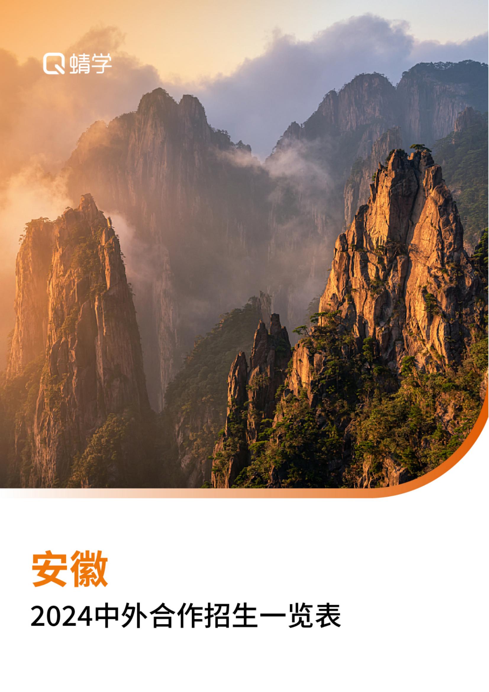 【报告下载】安徽2024年中外合作招生一览表
