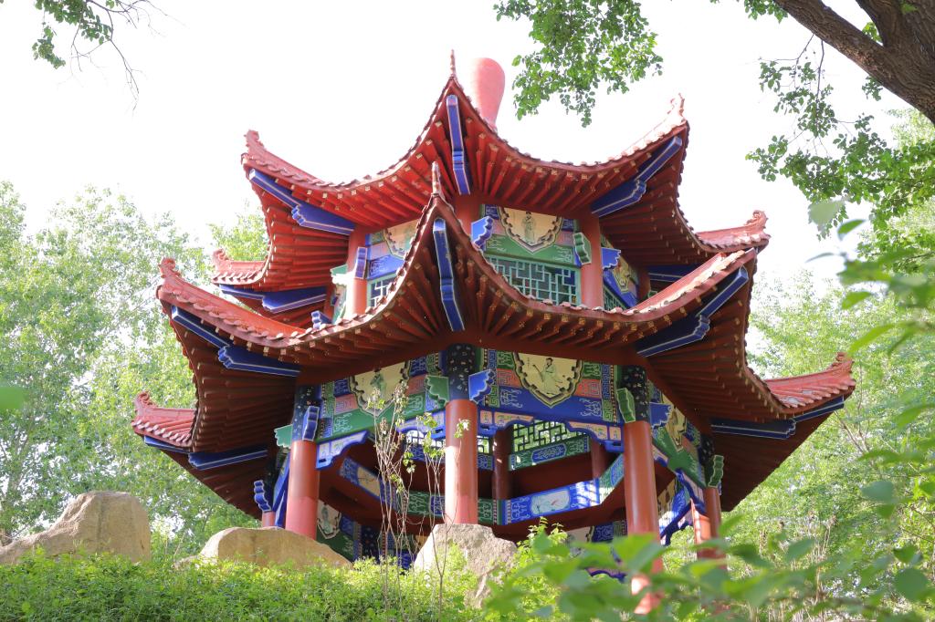 绥化学院：2025年软件工程、食品质量与安全2个专业暂停招生