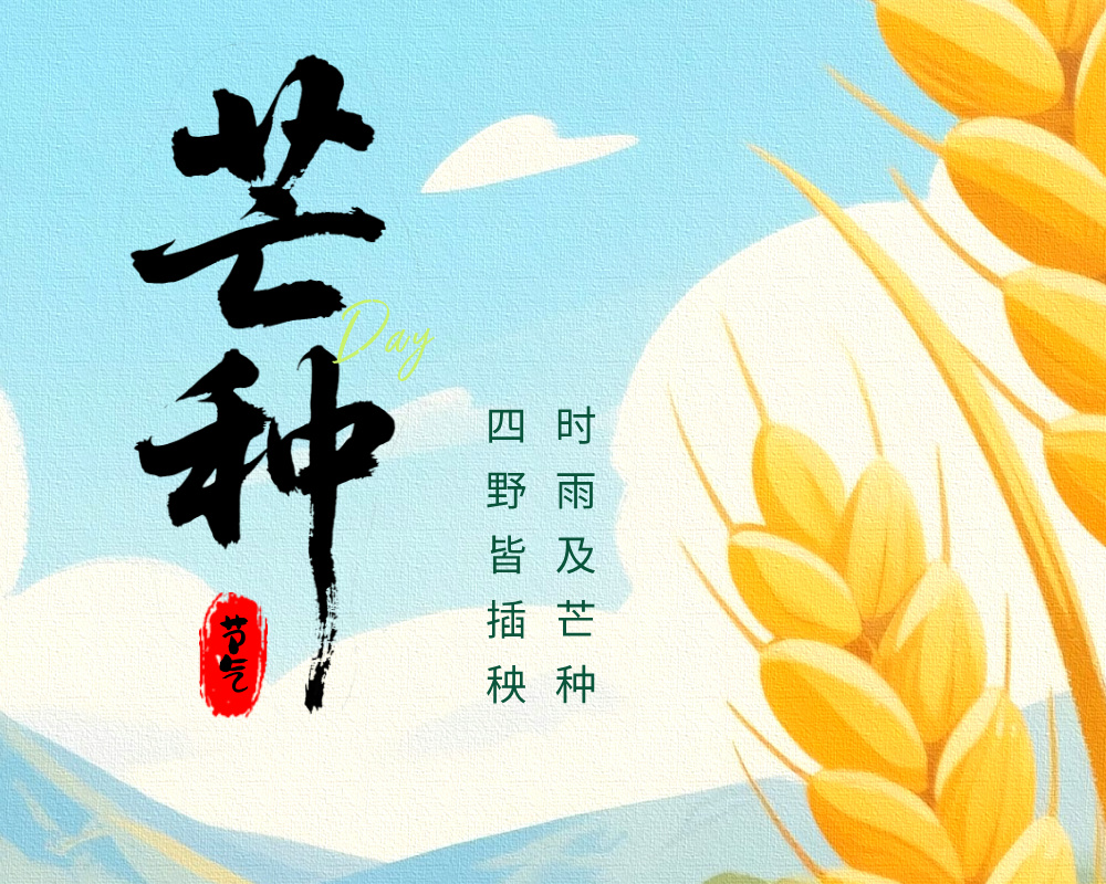 芒种逢高考,梦想正当时