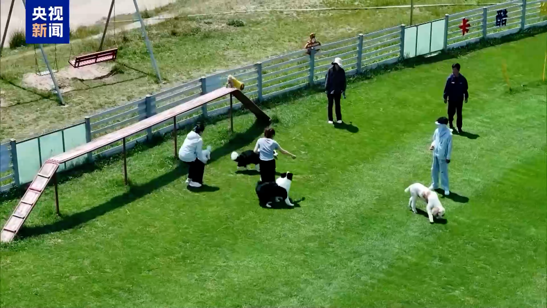 这些专业首次招生!2025年各大高校在涉农专业的设置上有哪些新变化?