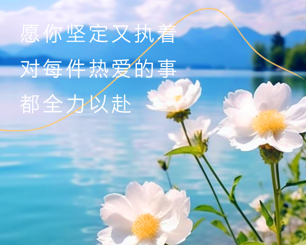 高考志愿规划师:从被误解到成刚需,合格从业者需具备这些素养