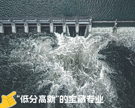 冷门专业逆袭记：高考志愿规划师揭秘4个“低分高就”的宝藏专业