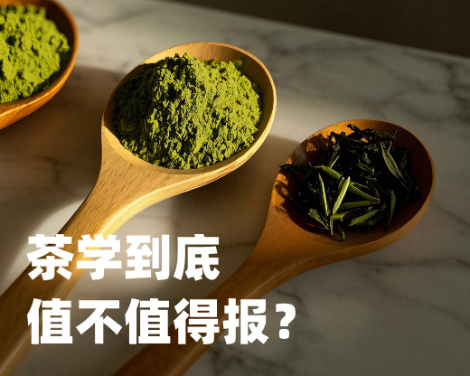 茶学=泡茶？错！冷门王牌正在悄悄逆袭