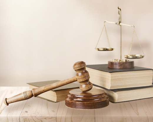 法治中国的基石与法学专业的魅力 | 8.26全国律师咨询日特辑