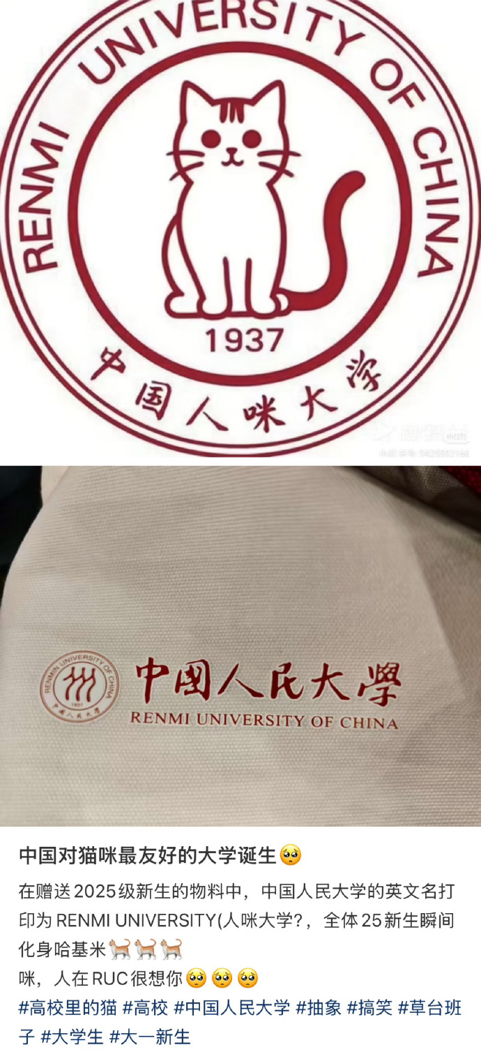 “人咪大学”火了？一场意外背后的别样故事🐱
