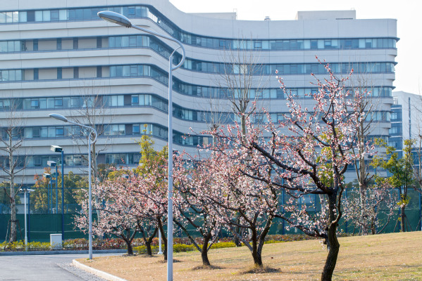 非985、211，却让学霸扎堆，这所双一流新贵凭什么？