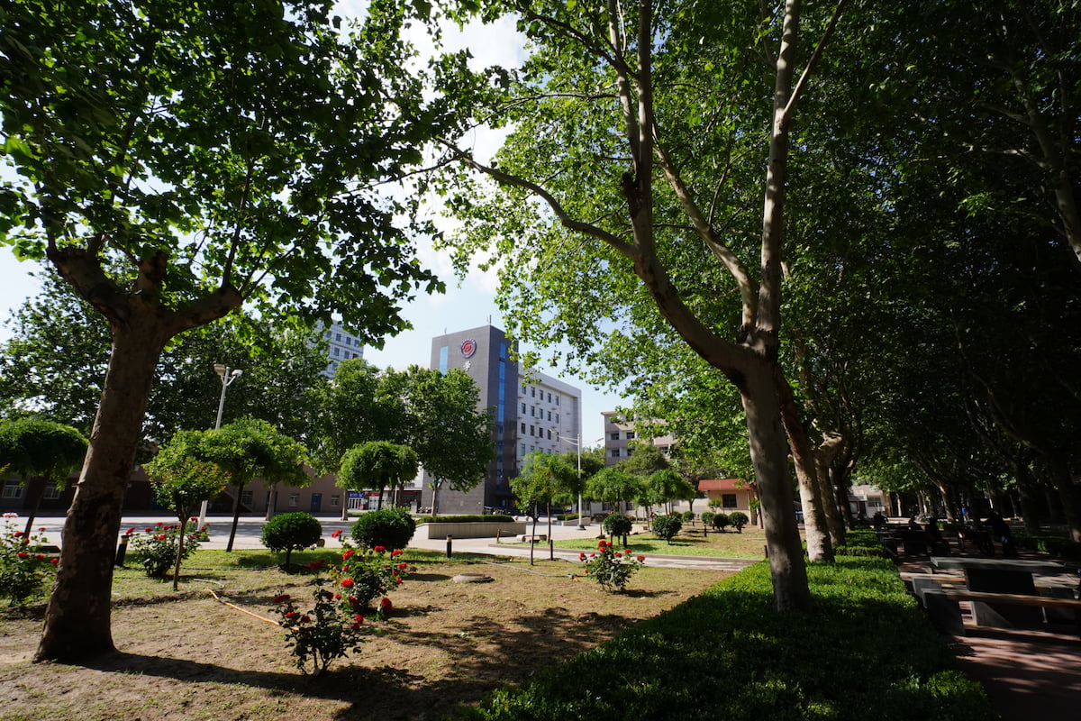 这几所被美国重点关注的双非院校，藏着高性价比报考机会