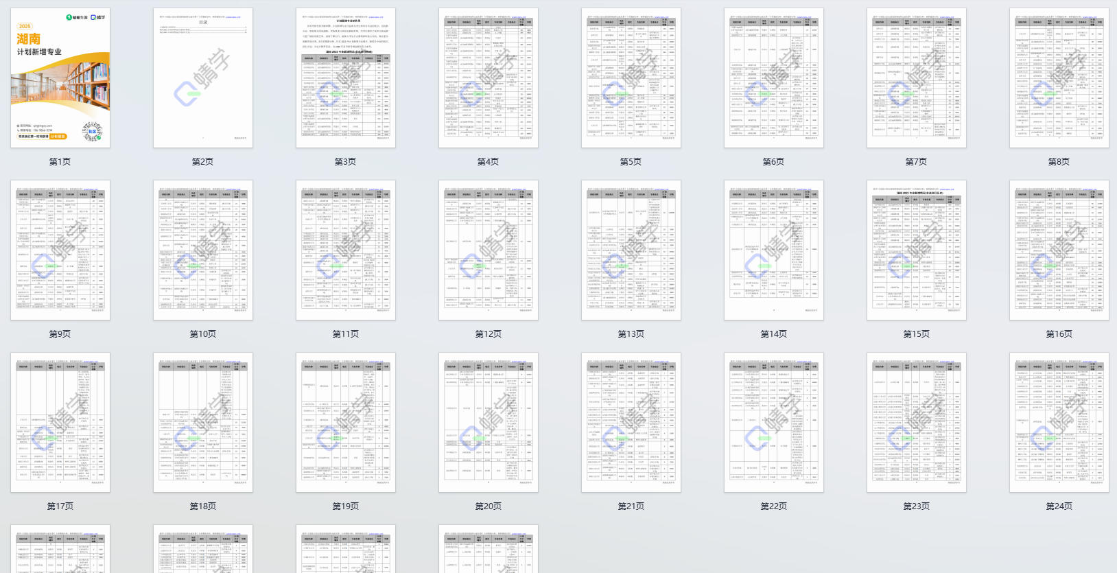 2025年湖南计划新增专业计划数前200-本科