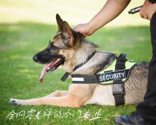 全网零差评的冷门专业：又苦又累却稳拿铁饭碗，了解一下？