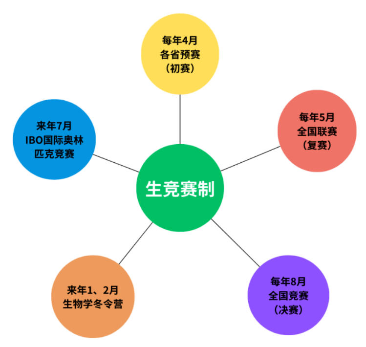 300人提前保送清北！五大学科竞赛含金量与选择指南