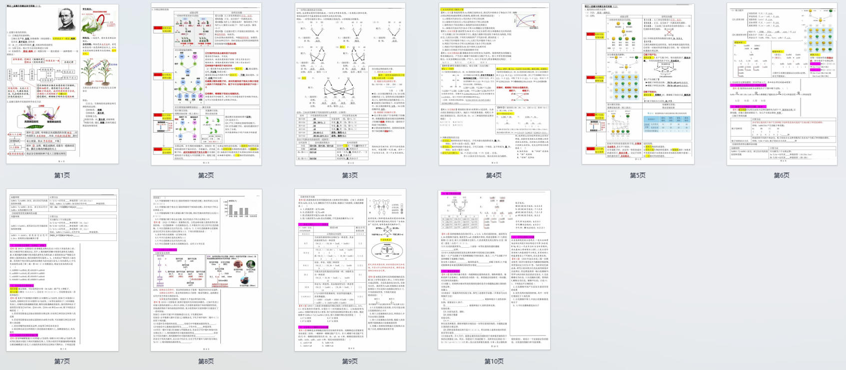 高中生物：基因分离定律知识点