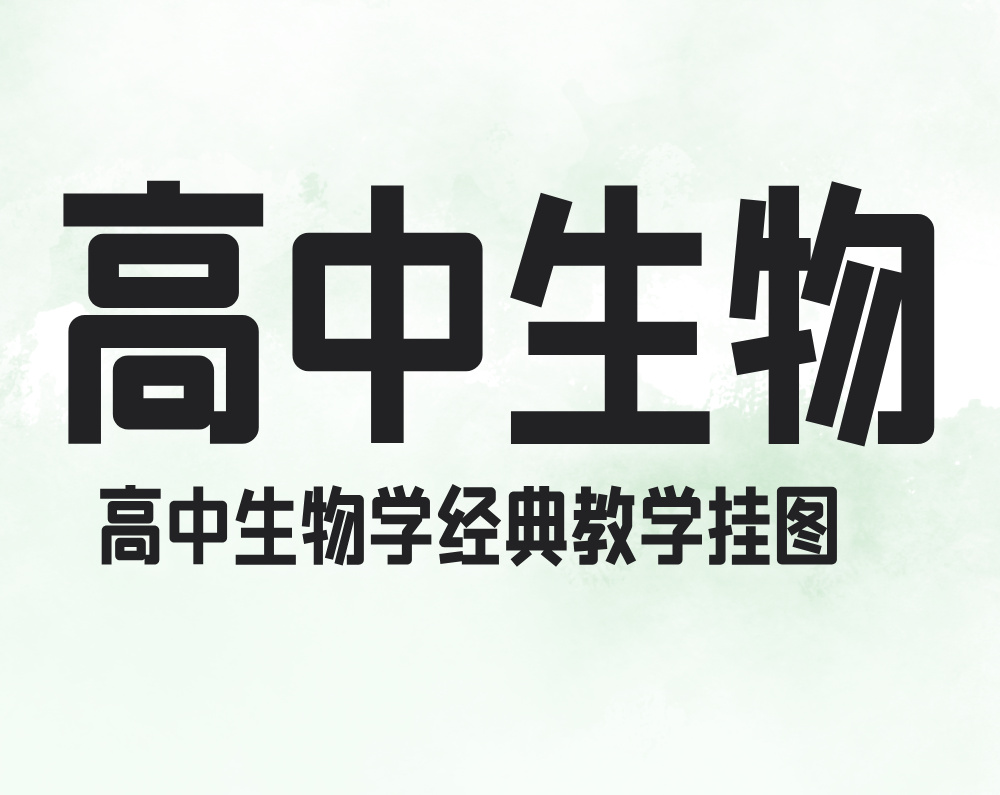 高中生物学经典教学挂图