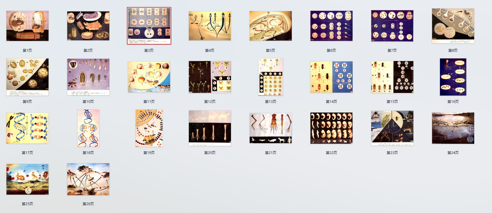 高中生物学经典教学挂图