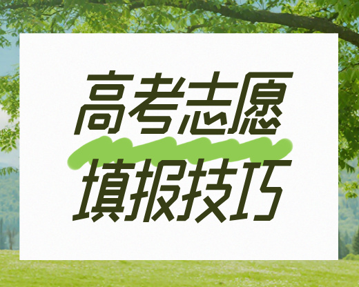 特控线上下20分志愿填报怎么选?