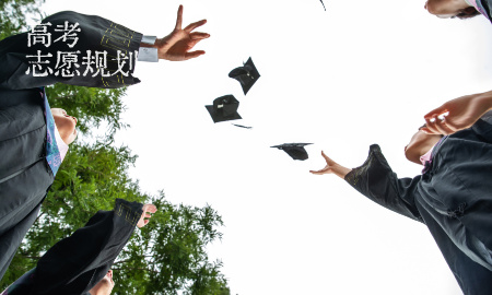 高考志愿规划师，你真的读懂家长那颗悬着的心了吗【地球一小时特辑】